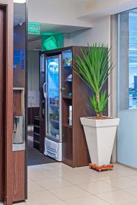 a potted plant sitting in front of a refrigerator at FAST SLEEP Guarulhos by Slaviero Hotéis in Guarulhos