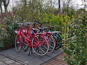 Zdjęcie z galerii obiektu DE SCHOOL Middelburg w mieście Middelburg