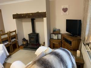 a living room with a fireplace and a tv at Parc Farm B&B in Llanarth