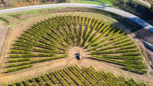 Billede fra billedgalleriet på Cascina Binè i Novi Ligure