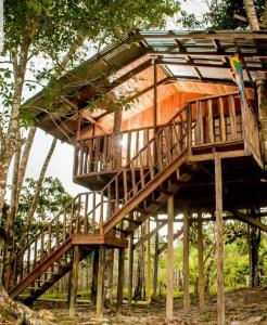 une cabane dans les arbres au milieu d'une forêt dans l'établissement Hotel Karupa Amazonas, à Leticia