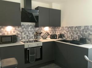Kuchyň nebo kuchyňský kout v ubytování Deeside Snugs Apartments