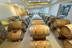 Fotografie z fotogalerie ubytování Villa Luxury Rooms - Wine Resort v destinaci Smederevo