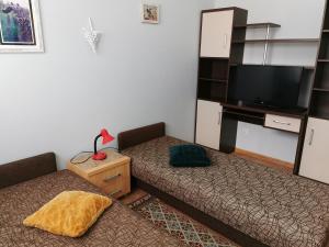 Televízia a/alebo spoločenská miestnosť v ubytovaní Apartament Borowiacki