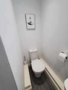 a bathroom with a toilet and a picture on the wall at Ipswich Town Centre Apartment 5 in Ipswich