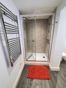 a shower in a bathroom with a red rug at Ipswich Town Centre Apartment 5 in Ipswich