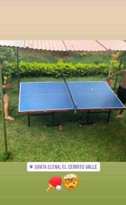 una mesa de ping pong azul en el césped en Hospedaje campestre Cerca de Cali y Palmira, en Palmira