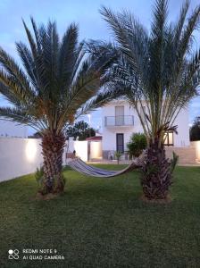 Zahrada ubytování Villa Alfea CAMERE + 88 fotografií