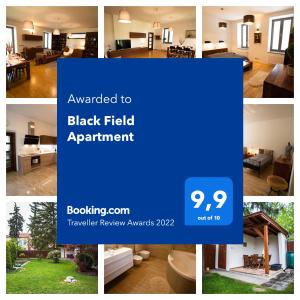 Fotografie z fotogalerie ubytování Black Field Apartment v destinaci Brno