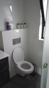ein Badezimmer mit einem WC mit zwei Pflanzen im Regal in der Unterkunft נוף לחרמון in Kibbuz Dafna