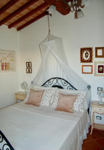 Afbeelding uit fotogalerij van Bed and Breakfast Casale del Sole in Castellina Marittima