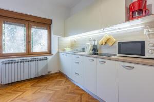 Kuchyňa alebo kuchynka v ubytovaní Apartments SOBOL