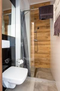 a bathroom with a toilet and a shower at NoclegiJarocin Bed & Breakfast in Jarocin