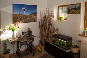 Fotografie z fotogalerie ubytování Pension Schipflinger v Saalbachu