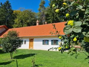 een wit huis met een oranje dak in een tuin bij Turistična kmetija Hiša ob gozdu pri Ptuju in Ptuj