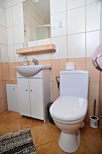 Vonios kambarys apgyvendinimo įstaigoje Drozdówka nad Soliną - Domki BOHO