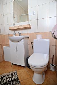 łazienka z białą toaletą i umywalką w obiekcie Drozdówka nad Soliną - Domki BOHO w Solinie +37 zdjęć