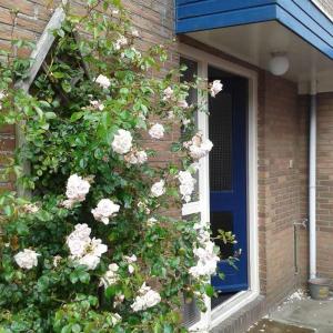 Afbeelding uit fotogalerij van AgterdeKoog in De Koog