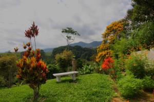 Gallery image of Pousada Coração Verde in Miguel Pereira