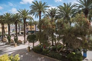 Vonkajšia záhrada v ubytovaní Estudio Plaza de la Laguna by Dulce