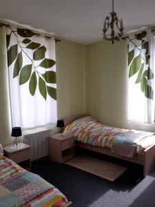ein Schlafzimmer mit einem Bett und zwei Fenstern in der Unterkunft Gite 32 rue du huit mai in Freneuse