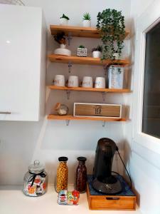 a kitchen with wooden shelves with plants and a blender at T3 proche Castillet in Perpignan
