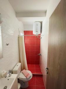 e bagno con servizi igienici e doccia rossa. di City Life Apartments #2 a Ioannina