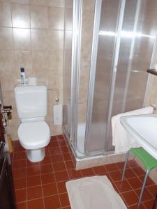 a bathroom with a toilet and a shower and a sink at Hotel-Restaurant Moser Pöchlarn in Pöchlarn
