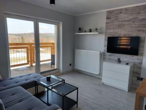 ein Wohnzimmer mit einem Sofa und einem Flachbild-TV in der Unterkunft Dream Apart in Szklarska Poręba