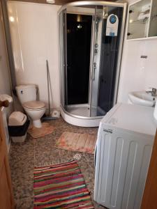 a bathroom with a shower and a toilet and a sink at Ojavere Puhkemaja in Plika