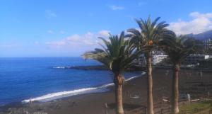 a view of a beach with palm trees and the ocean at Apartment Puerto de Santiago in Puerto de Santiago