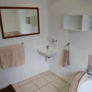 y baño con lavabo y espejo. en Birds Holiday Accommodation 1, en Ciudad del Cabo