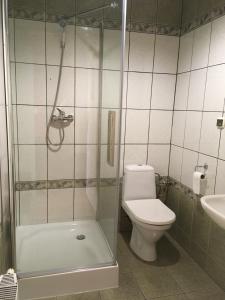 y baño con ducha, aseo y lavamanos. en Pokoje u Asi en Augustów