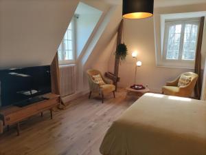 TV a/nebo společenská místnost v ubytování chambre SIXTIES