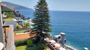 ein Baum an der Seite eines Gebäudes am Meer in der Unterkunft Ocean at your feet! in Funchal