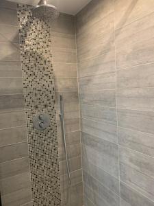 a bathroom with a shower with a glass shower curtain at Appartement design en plein centre du Touquet in Le Touquet-Paris-Plage +11 photos