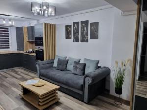 a living room with a couch and a table at Luxury Apartments in Bacău