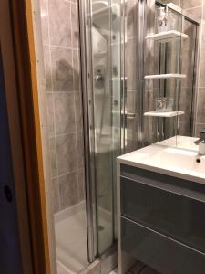 een badkamer met een douche en een wastafel bij Les cascades in Le Mont-Dore