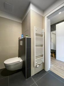 a bathroom with a white toilet in a room at Wolkerovka Apartment 1 in Olomouc