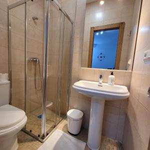 a bathroom with a sink and a shower and a toilet at "El Torreón" en el centro histórico de Baeza in Baeza