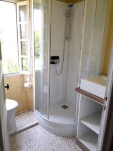 a bathroom with a shower and a toilet at Maison de vacances au cœur des Pyrénées in Eysus
