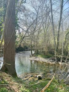 ein Bach in einem Waldgebiet mit einem Baum und Wasser in der Unterkunft Maison de vacances au cœur des Pyrénées in Eysus
