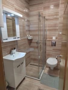 um banheiro com chuveiro, vaso sanitário e pia em Apartman Iva em Nova Varoš