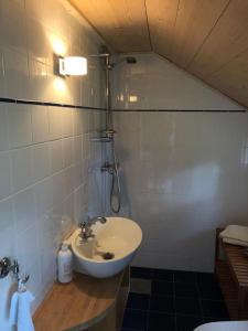 a bathroom with a sink and a shower at Seaside Cottage Haga Park in Fröbygårda