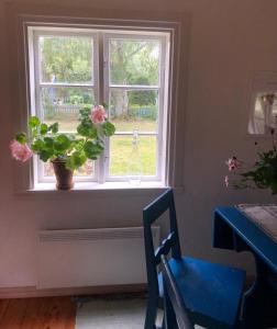 ein Fenster mit einer Topfpflanze und einem blauen Stuhl in der Unterkunft Seaside Cottage Haga Park in Fröbygårda