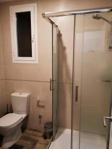 uma casa de banho com um WC e uma cabina de duche em vidro. em Apartamento Rosa Puerta del Sol em Madrid