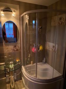 La salle de bains est pourvue d'une douche avec une porte en verre. dans l'établissement Oasis House, à Hunedoara