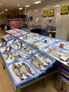 Σούπερ μάρκετ ή άλλα καταστήματα σε αυτό το διαμέρισμα ή εκεί κοντά