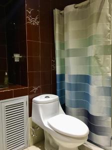 uma casa de banho com um WC e uma cortina de chuveiro em Amplio departamento en la mejor zona de polanco em Cidade do México