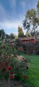 Zahrada ubytování El Chalet de El Refugio de la Loma